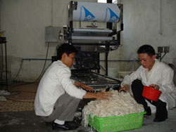 已生產(chǎn)好的河粉.jpg 已生產(chǎn)好的河粉.jpg