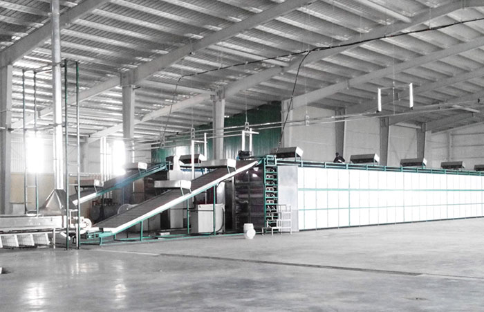 米面制品定型灘涼烘干設(shè)備 米面制品定型灘涼烘干設(shè)備