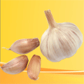 大蒜分瓣機(jī)產(chǎn)品